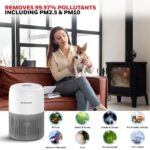 Honeywell Air Touch V1 Air Purifier for Home & Office, 3-in-1, Pre, H13 HEPA, Activated Carbon, Removes 99.99% Pollutants, Allergens, Pet Danger, Smoke, Dust & Pollens - Image 7
